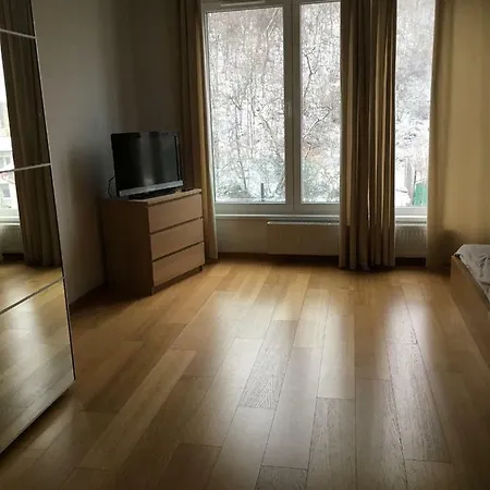 Apartment Botic Prague